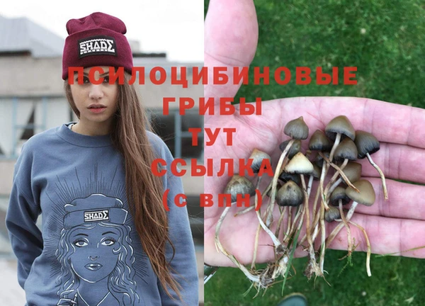 a pvp Богородицк